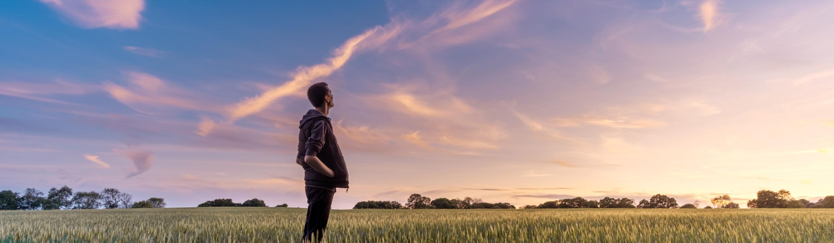 Ein Mann steht in einem Feld und schaut ins Weite. Der Himmel zeigt vereinzelt Wölkchen und ist zart violett gefärbt