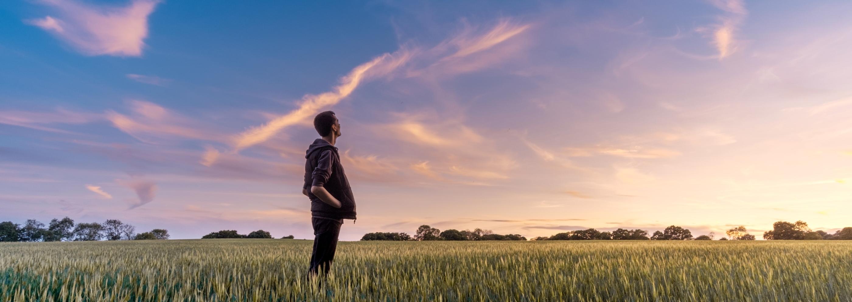 Ein Mann steht in einem Feld und schaut ins Weite. Der Himmel zeigt vereinzelt Wölkchen und ist zart violett gefärbt
